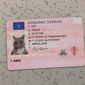 Sweden-Driver-License-Template