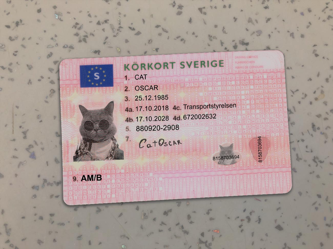 Sweden-Driver-License-Template