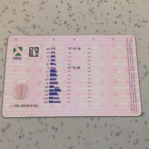 Sweden-Driver-License-Template