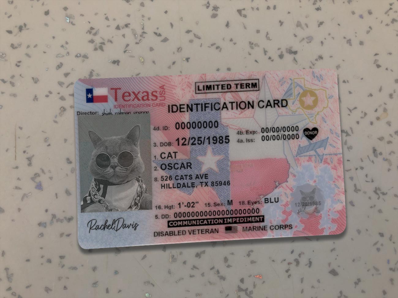 Texas Identity Card Template
