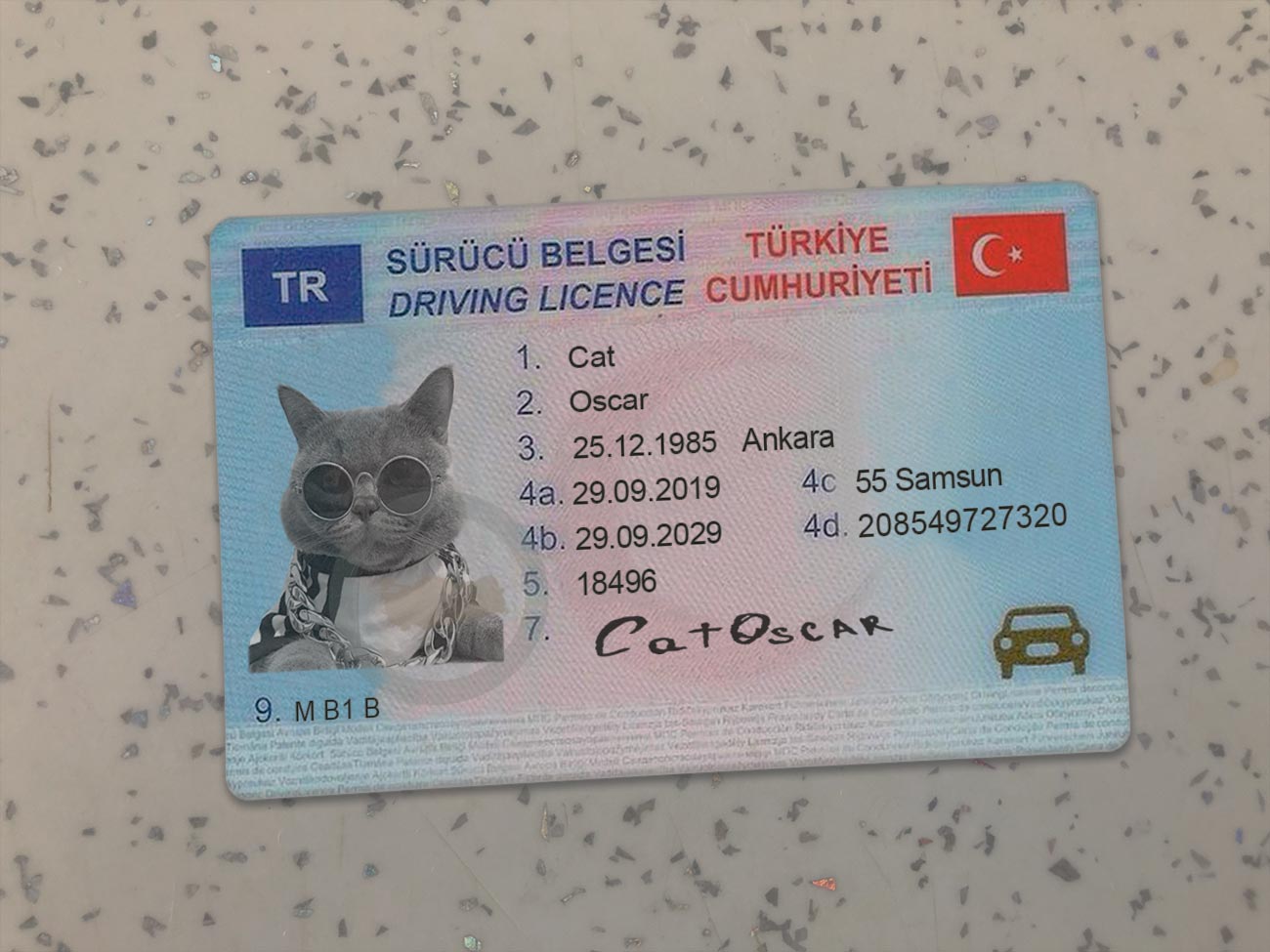 Turkey-Driver-License-Template