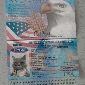 USA-Passport-Template
