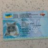 Ukraine-Driver-License-Template