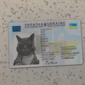 Ukraine-Identity-Card-Template-1