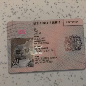 Editable UK Residence Permit PSD Template