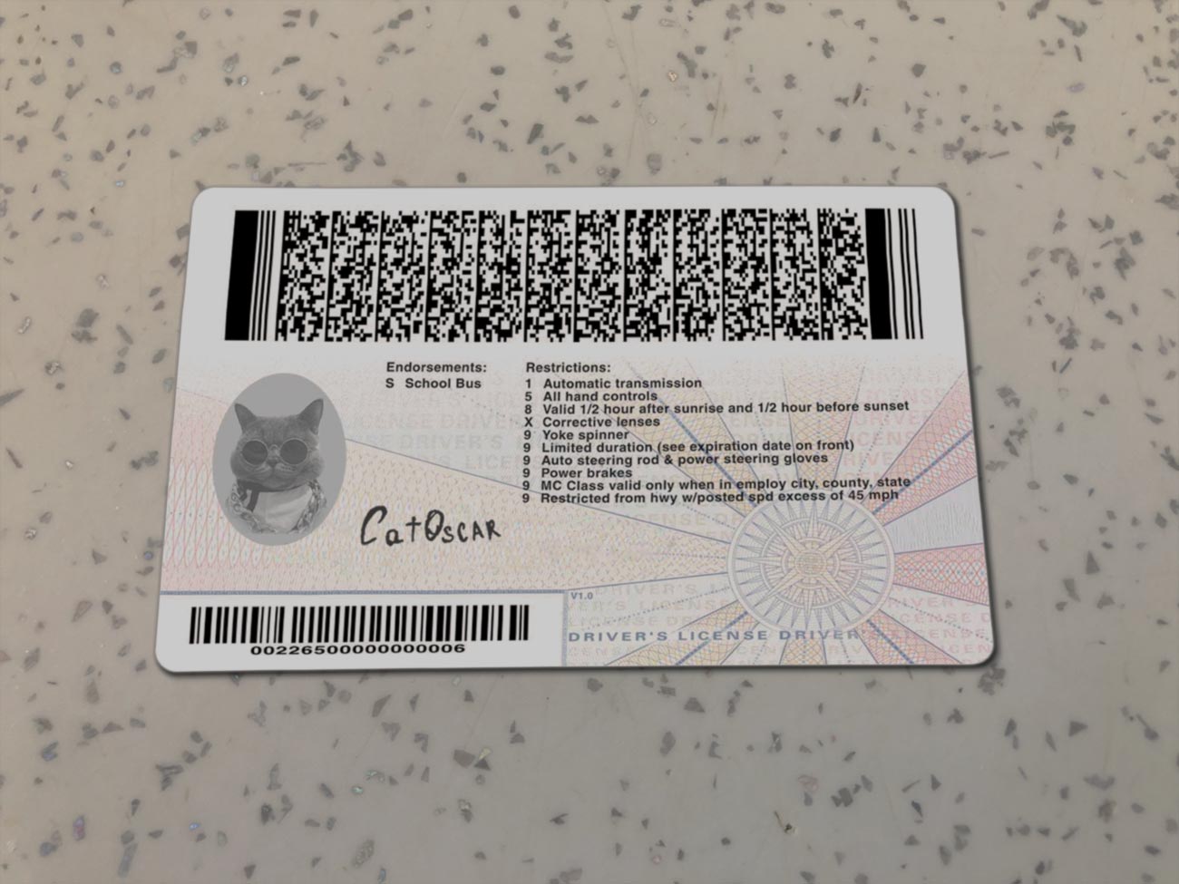 Virginia-Driver-License-Template