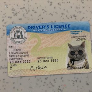 Western-Australia-Driver-License-Template