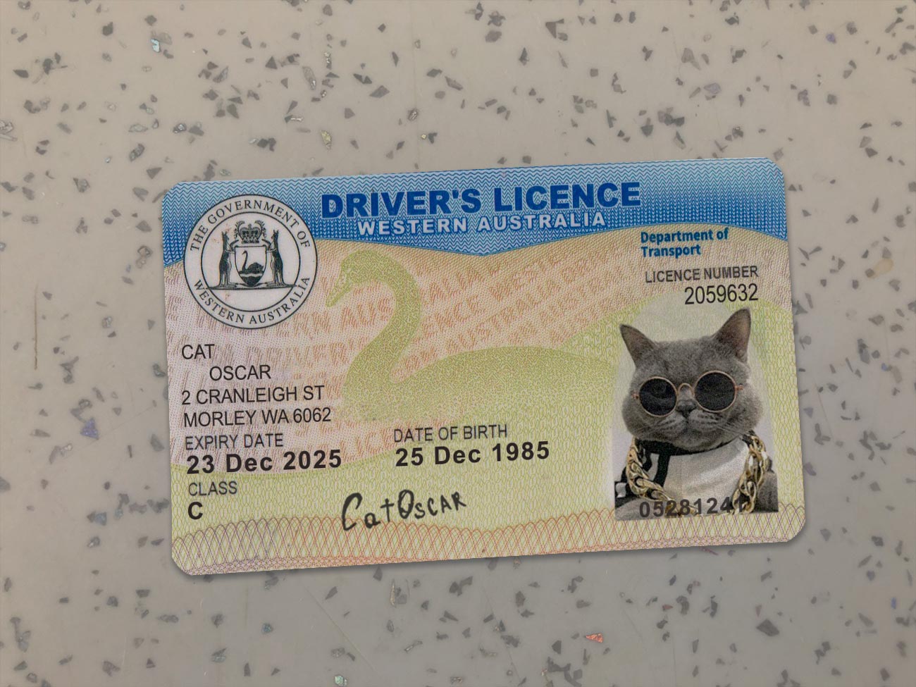 Western-Australia-Driver-License-Template